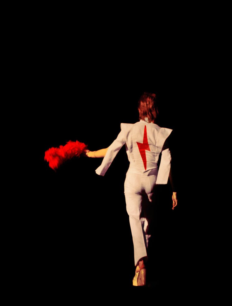David Bowie, 1973 - Morrison Hotel Gallery