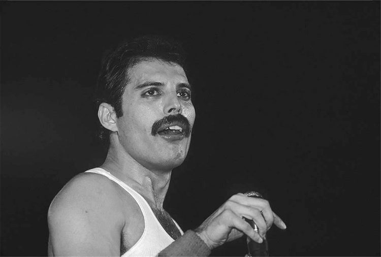 Freddie Mercury, Queen, NYC, 1980 - Morrison Hotel Gallery