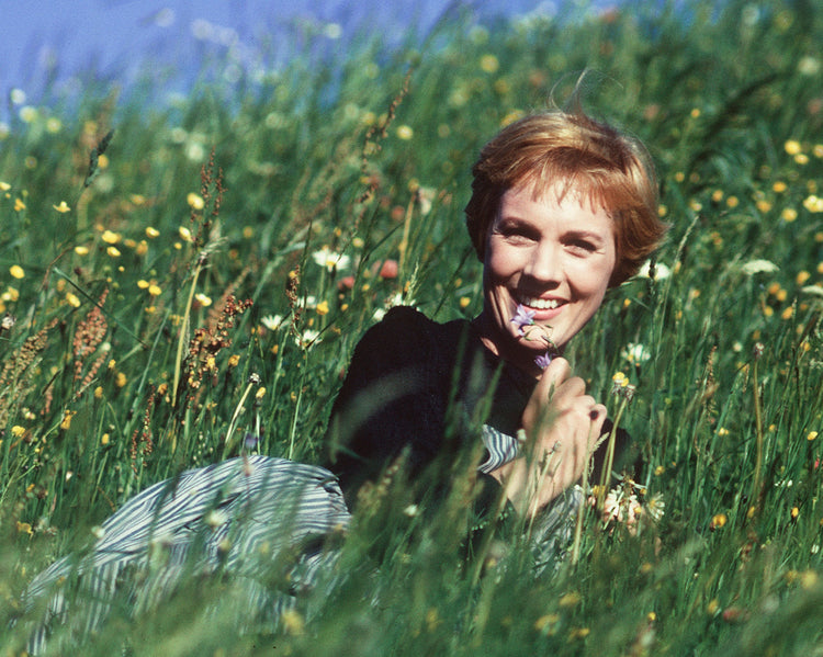 Julie Andrews, Field of Wildflowers, Sound of Music, 1965 - Morrison Hotel Gallery