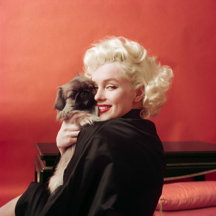 Marilyn Monroe, NY, 1955 - Morrison Hotel Gallery