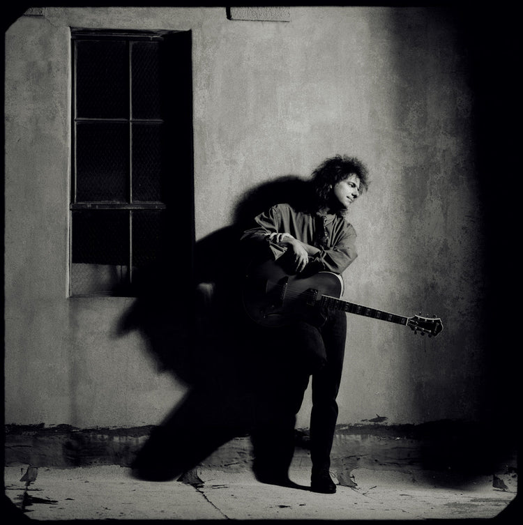 Pat Metheny - Morrison Hotel Gallery