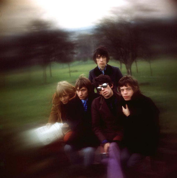 Primrose Hill Lavender - Morrison Hotel Gallery