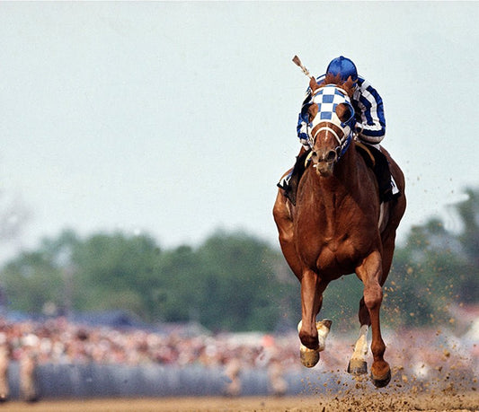 Secretariat, 1973 Kentucky Derby - Morrison Hotel Gallery