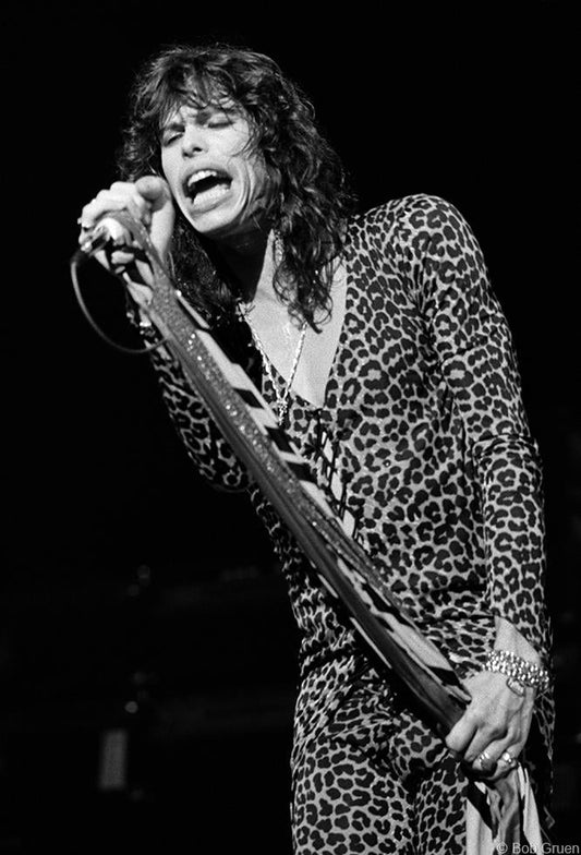 Steven Tyler, London, England, 1976 - Morrison Hotel Gallery