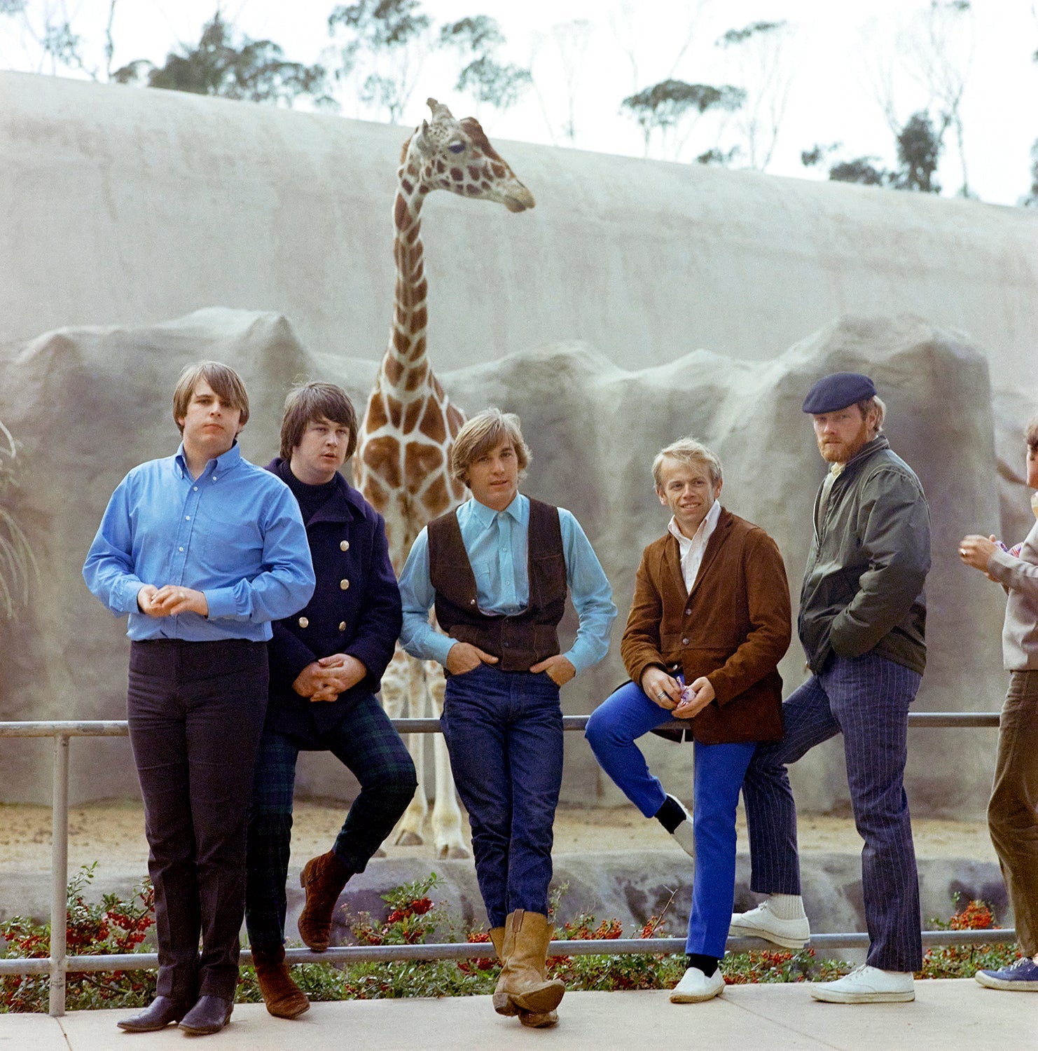 The Beach Boys, Pet Sounds, Giraffe, Feb 10th, 1966 - Morrison Hotel Gallery