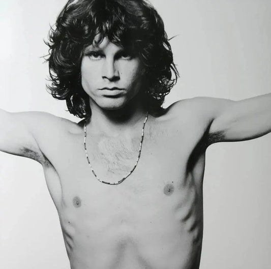 Jim Morrison's Most Iconic Performances: A Visual Journey - Morrison Hotel Gallery