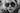 MHG Icons: Debbie Harry - Morrison Hotel Gallery