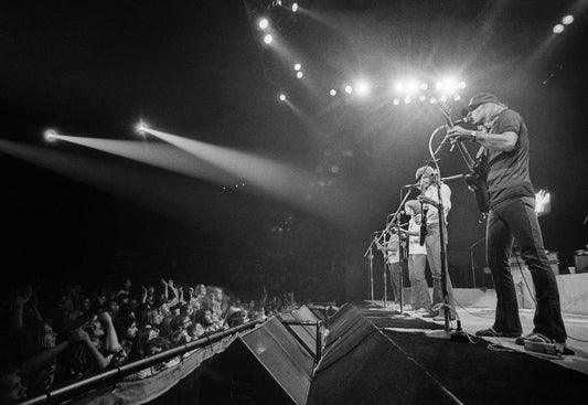 The Eagles, 1981