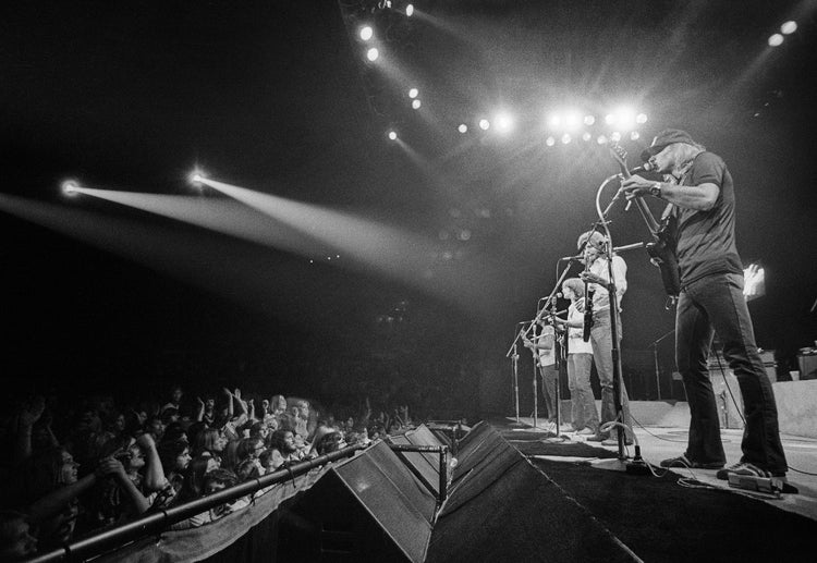 The Eagles, 1981