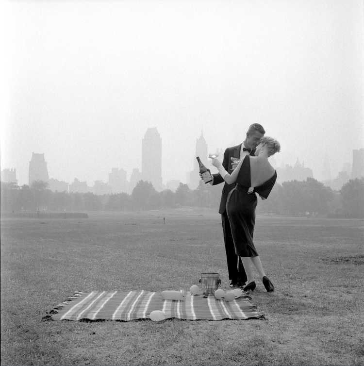 Picnic in Central Park