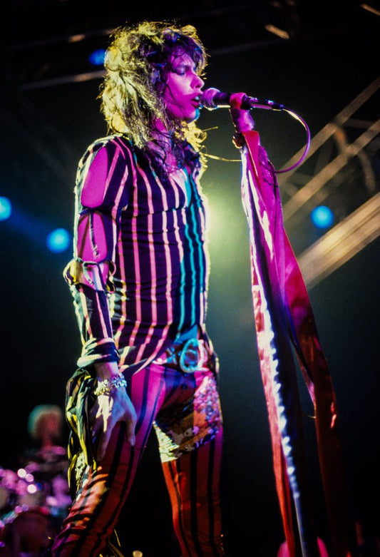 Tyler Steven Steven Tyler 1980 Steven Tyler Performing At The Tobin Center In