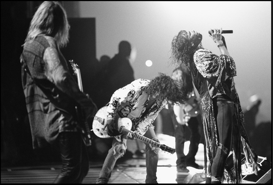 Aerosmith, Woodstock, 1994 - Morrison Hotel Gallery