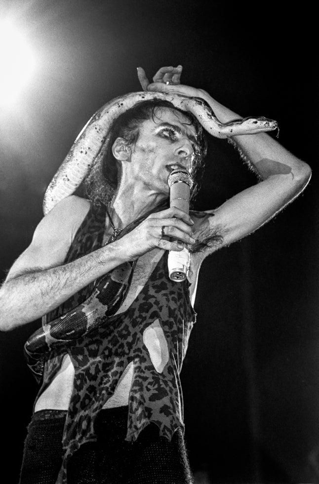 Alice Cooper, 1980 - Morrison Hotel Gallery