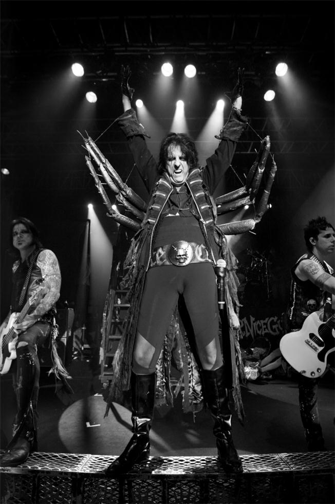 Alice Cooper, Black Widow - Morrison Hotel Gallery