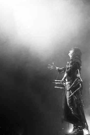 Alice Cooper, Vienna, Austria, 2011 - Morrison Hotel Gallery