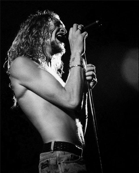 Layne Staley Alice In Chains Concert Photo Print Poster – Vintage Rock