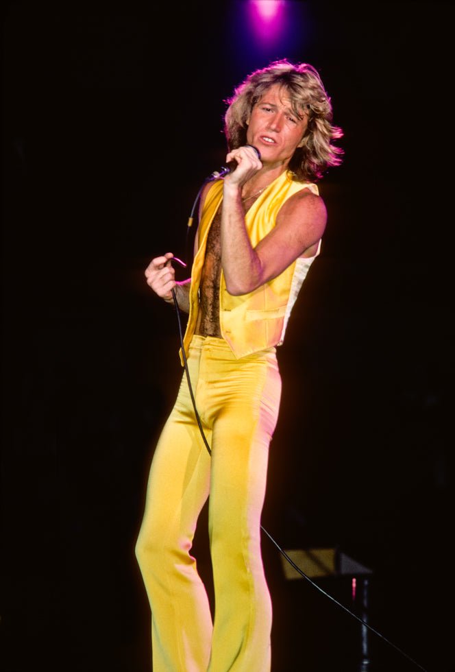 Andy Gibb, 1978 - Morrison Hotel Gallery