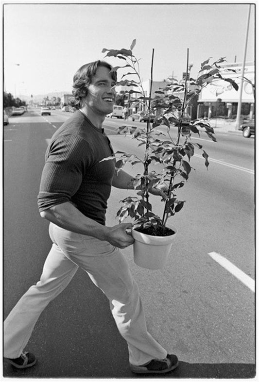 Arnold Schwarzenegger, Venice Beach, 1976 - Morrison Hotel Gallery