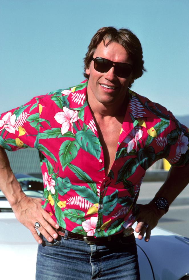 Arnold Schwarzenegger - Morrison Hotel Gallery