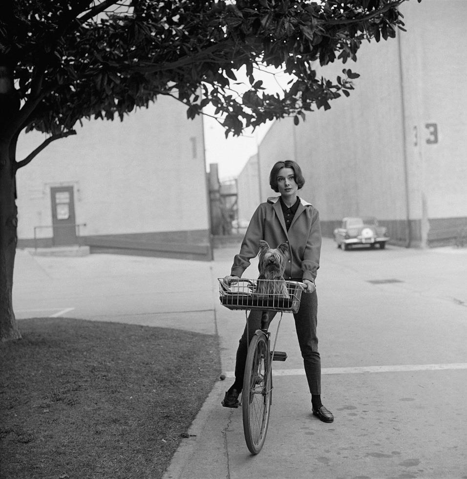 Audrey Hepburn, Los Angeles, CA, 1957 - Morrison Hotel Gallery