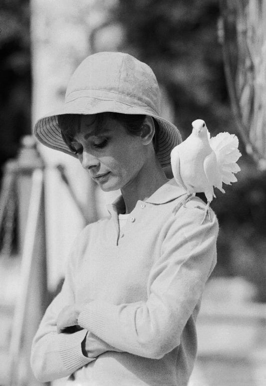 Audrey Hepburn with Dove, 1967 - Morrison Hotel Gallery