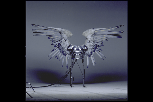 Bartleby's Wings, Dogma, 1998 - Morrison Hotel Gallery