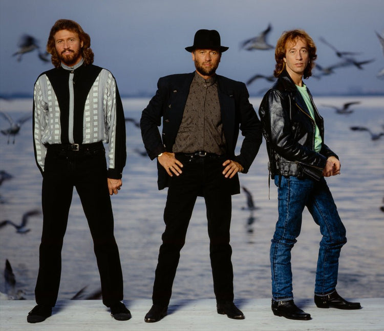 Bee Gees, 1990 - Morrison Hotel Gallery