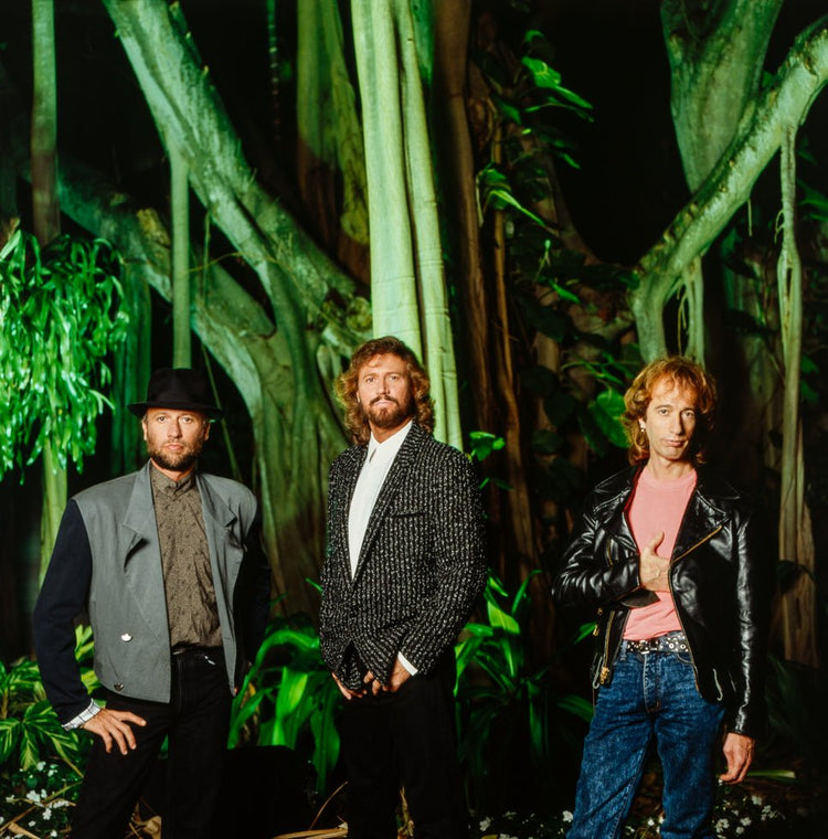 Bee Gees, 1990 - Morrison Hotel Gallery