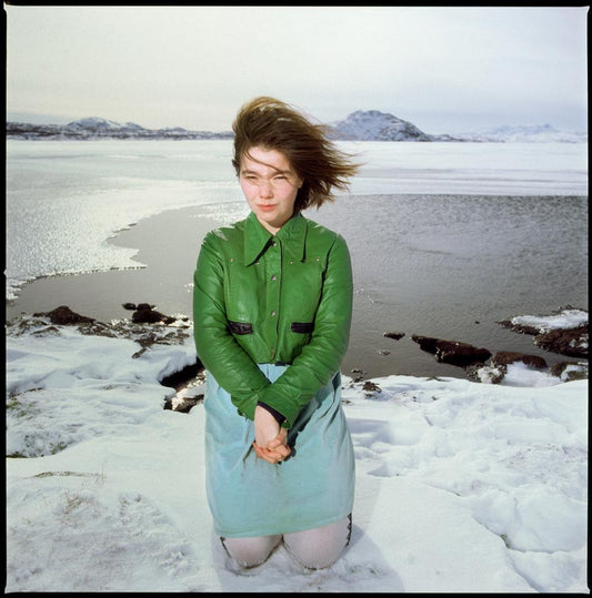 Björk, Reykjavik, Iceland, 1988 - Morrison Hotel Gallery
