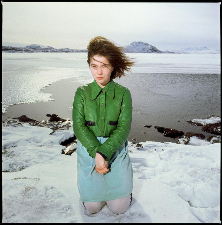Björk, Reykjavik, Iceland, 1988 - Morrison Hotel Gallery