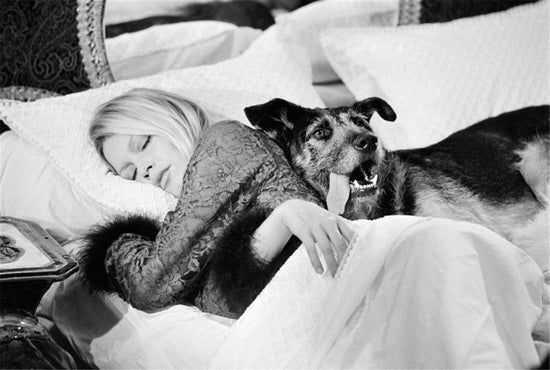 Brigitte Bardot with dog, on set of Les Novices, 1970 - Morrison Hotel Gallery