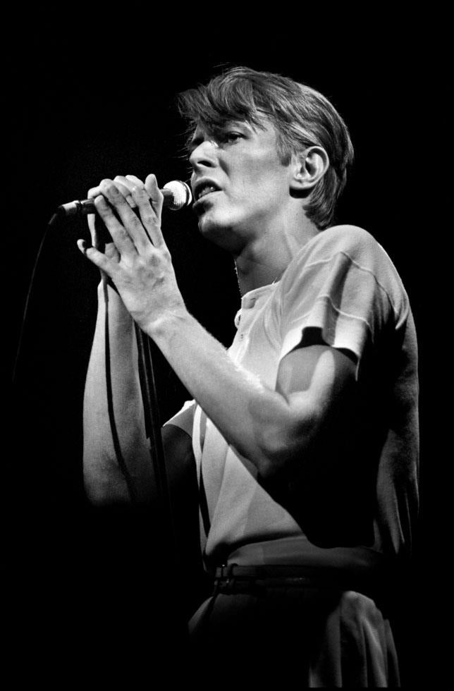 David Bowie, 1978 - Morrison Hotel Gallery