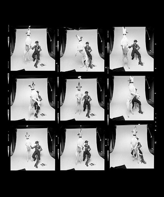 David Bowie, Diamond Dog, Contact Sheet - Morrison Hotel Gallery