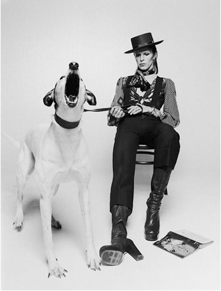 David Bowie, Diamond Dogs view 2, 1974 - Morrison Hotel Gallery