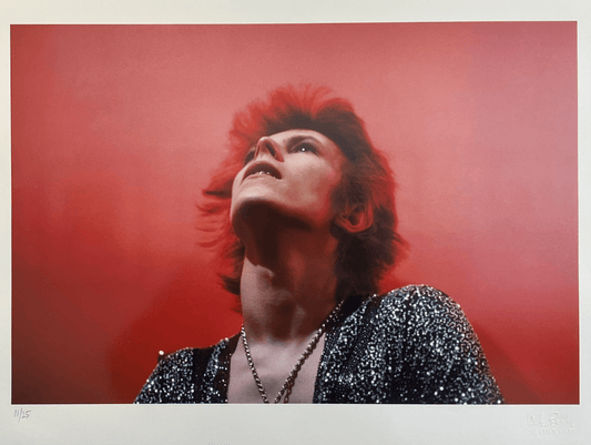 David Bowie, Moonage Daydream, Ziggy Stardust - Morrison Hotel Gallery