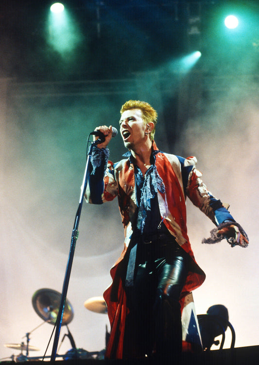 David Bowie, Phoenix Festival,1996 #2 - Morrison Hotel Gallery