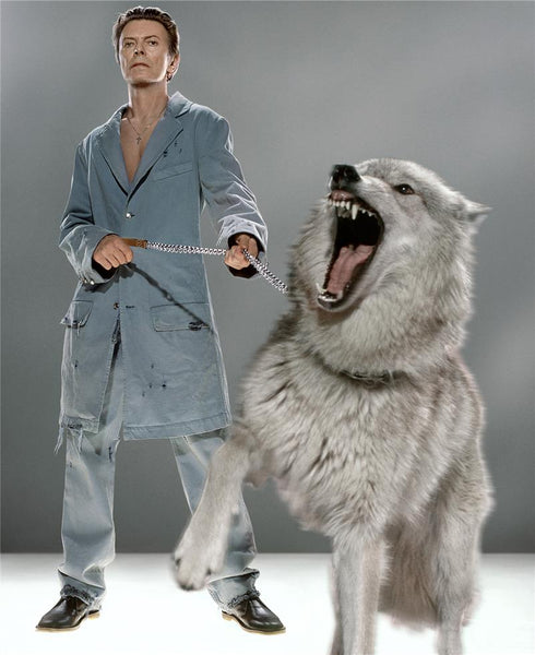 David Bowie, The Protector, 2002