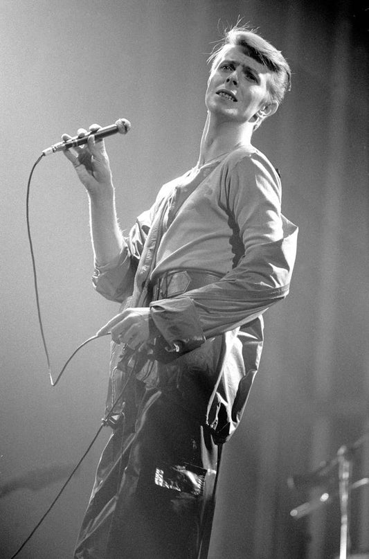 David Bowie, Toronto, Canada, 1978 - Morrison Hotel Gallery