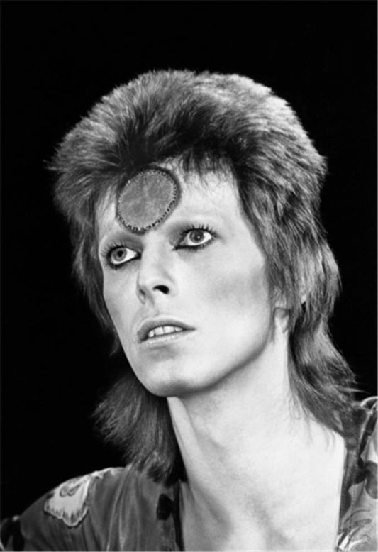 David Bowie, Ziggy Stardust - Morrison Hotel Gallery