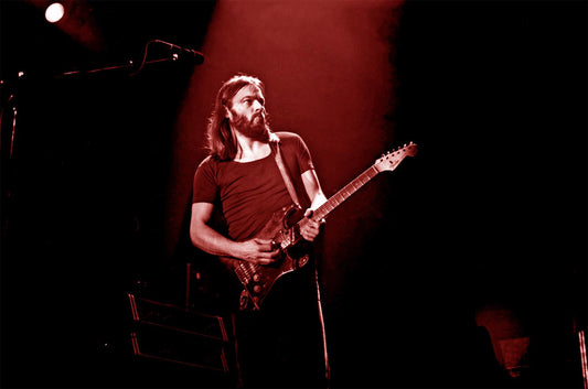David Gilmour, Pink Floyd, Animals Tour, Holland, 1977 - Morrison Hotel Gallery