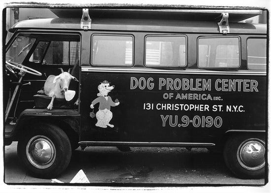 Dog Problem Center, Greenwich Village, 1967 - Morrison Hotel Gallery