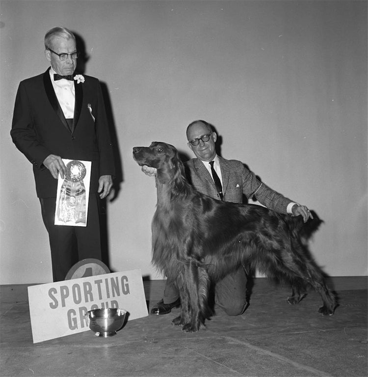 Dog Show, Madison Square Garden, NYC, 1966 - Morrison Hotel Gallery