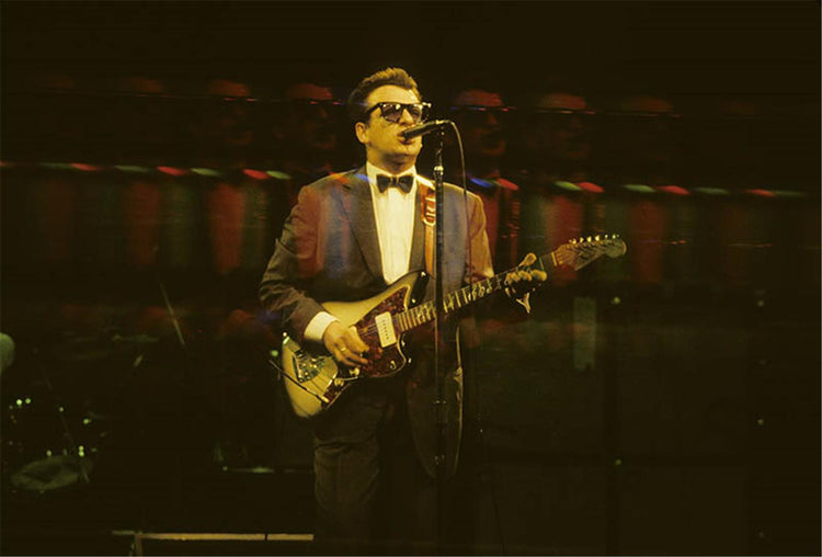 Elvis Costello, The Palladium, New York, 1981 - Morrison Hotel Gallery