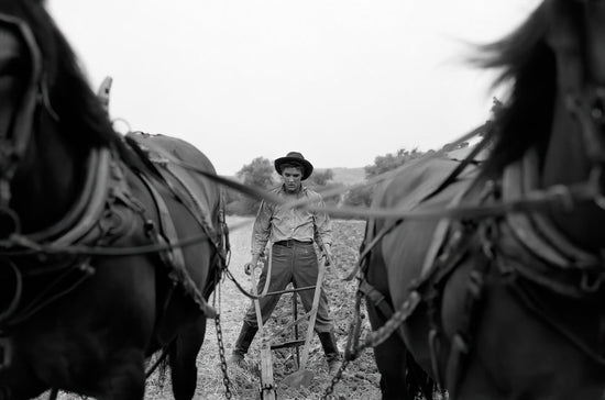 Elvis Presley, Plowing, 1956 - Morrison Hotel Gallery