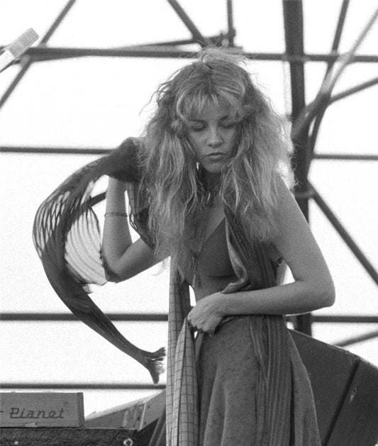 Framed Inventory - Stevie Nicks, Fleetwood Mac at JFK Stadium, Philadelphia, 1978 - 17x22, Edition 3/50 - Morrison Hotel Gallery