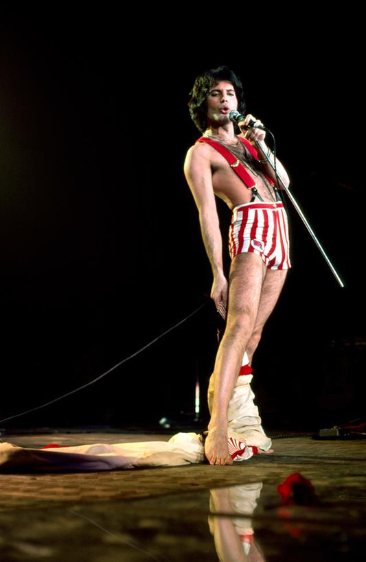 Freddie Mercury, Queen, 1978 - Morrison Hotel Gallery