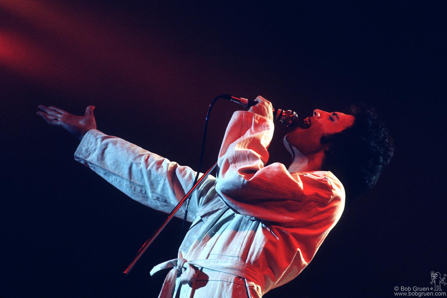 Freddie Mercury, Queen, NYC, 1977 - Morrison Hotel Gallery