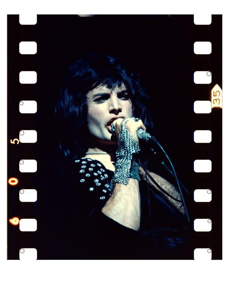 Freddie Mercury, Queen - Morrison Hotel Gallery