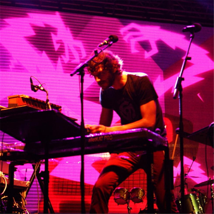 Gotye, Electric Shock - Morrison Hotel Gallery