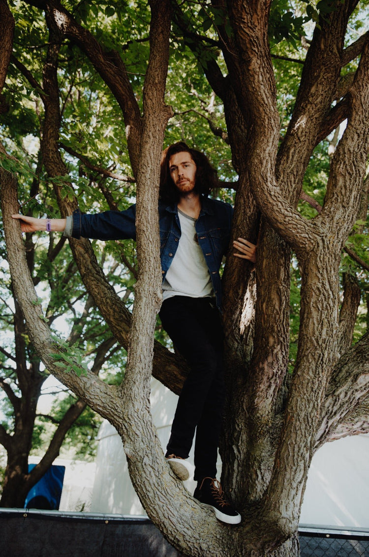 Hozier, Lollapalooza, Chicago, IL, 2019 - Morrison Hotel Gallery